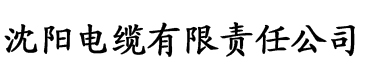 黄视频在线观看污电缆厂logo